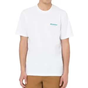 Dickies T shirt uomo Leesburg DK0A4Y8QWHX1 White
